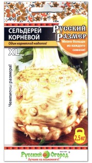 Сельдерей корневой Русский размер