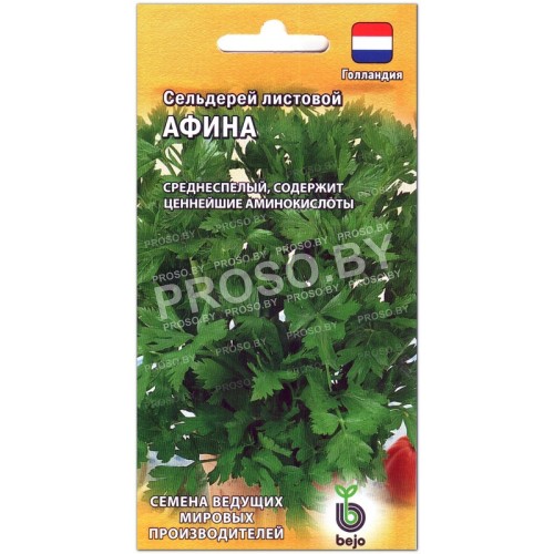 Сельдерей листовой Афина