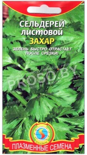 Сельдерей листовой Захар