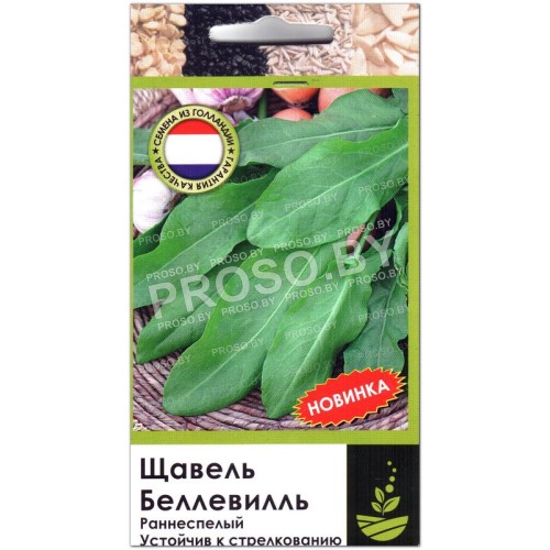 Щавель Беллевилль