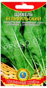 Щавель Бельвильский