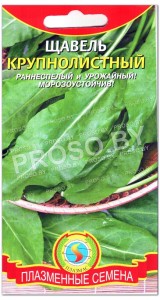 Щавель Крупнолистный