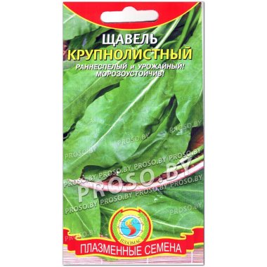 Щавель Крупнолистный