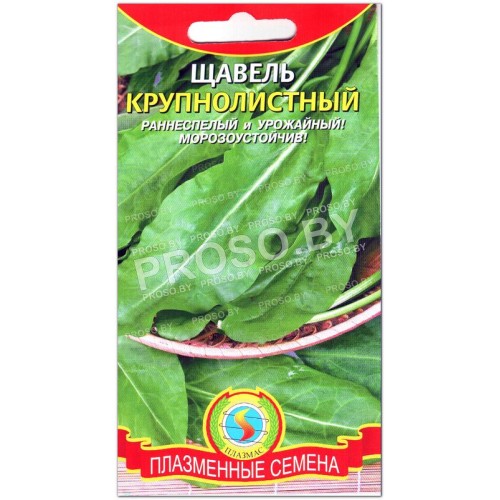Щавель Крупнолистный