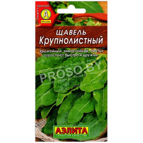 Щавель Крупнолистный-1