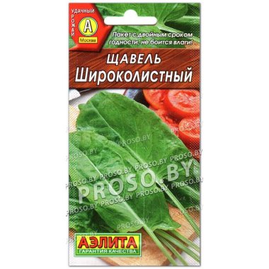 Щавель Широколистный