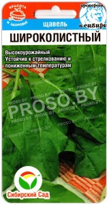 Щавель Широколистный