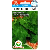 Щавель Широколистный