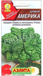 Шпинат Америка