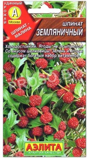 Шпинат Земляничный