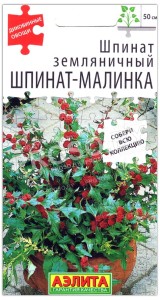 Шпинат земляничный Шпинат-малинка