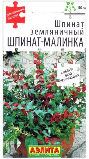 Шпинат земляничный Шпинат-малинка