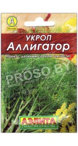 Укроп Аллигатор
