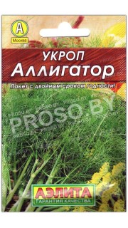 Укроп Аллигатор