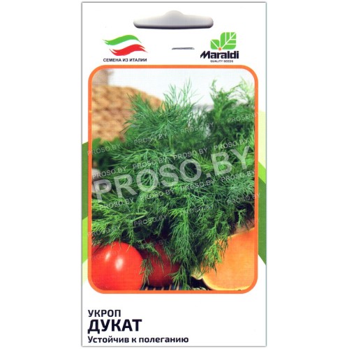 Укроп Дукат