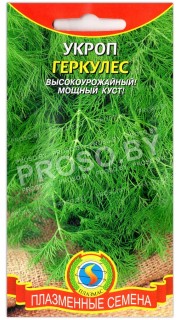 Укроп Геркулес