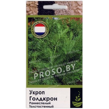 Укроп Голдкрон