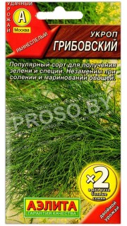 Укроп Грибовский