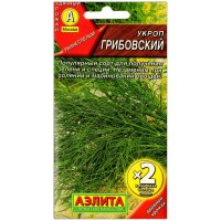 Укроп Грибовский
