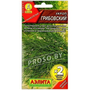 Укроп Грибовский