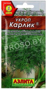 Укроп Карлик