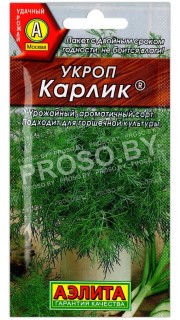 Укроп Карлик
