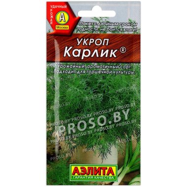 Укроп Карлик