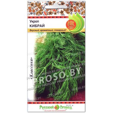 Укроп Кибрай