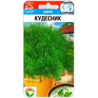 Укроп Кудесник