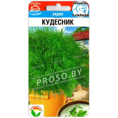 Укроп Кудесник