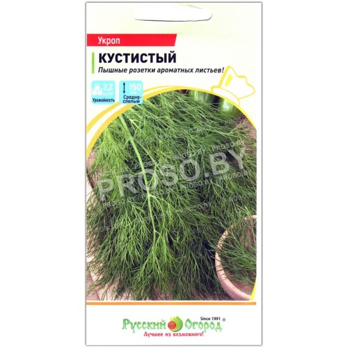 Укроп Кустистый