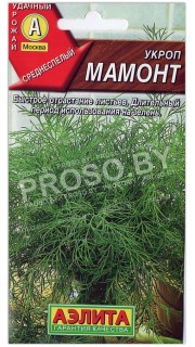 Укроп Мамонт
