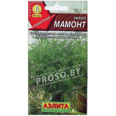 Укроп Мамонт