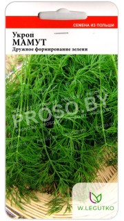 Укроп Мамут