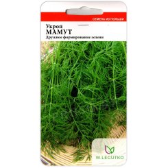 Укроп Мамут