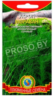 Укроп Мораван