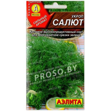 Укроп Салют