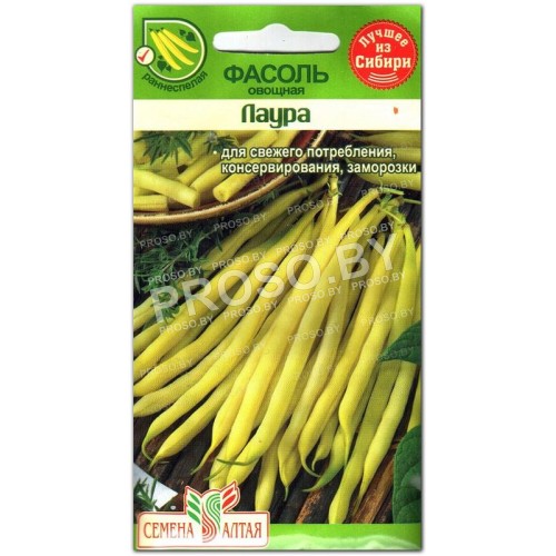 Фасоль Лаура-1