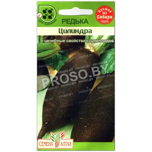 Редька Цилиндра-1