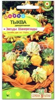 Тыква декоративная Звезды Шахерезады