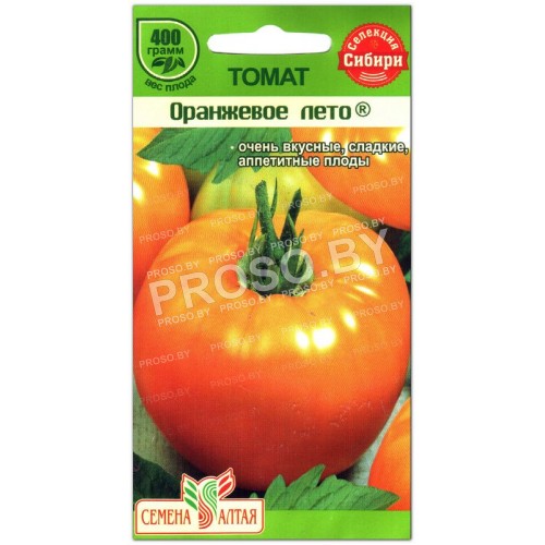 Томат Оранжевое лето