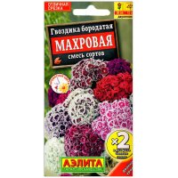 Гвоздика бородатая Махровая, смесь