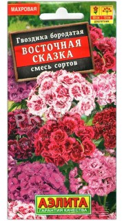 Гвоздика бородатая (турецкая) Восточная сказка, смесь