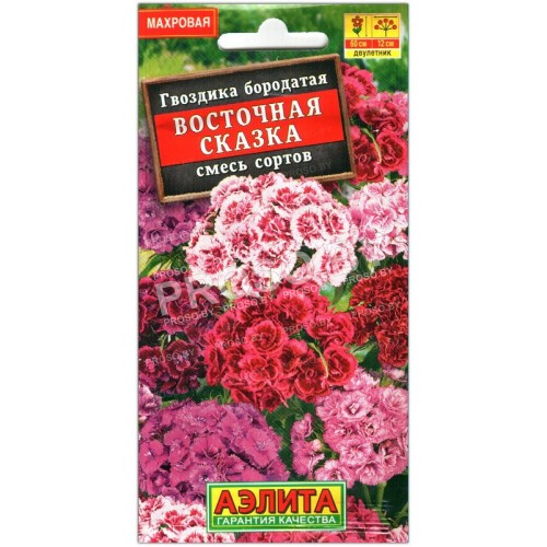 Гвоздика бородатая (турецкая) Восточная сказка, смесь
