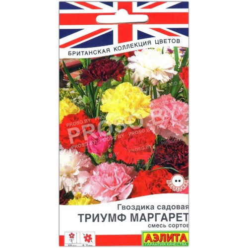 Гвоздика садовая Триумф Маргарет, смесь