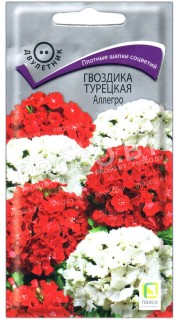 Гвоздика турецкая Аллегро