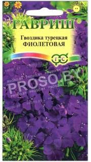 Гвоздика турецкая Фиолетовая