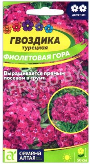 Гвоздика турецкая Фиолетовая гора