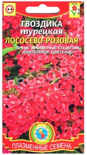 Гвоздика турецкая Лососево-розовая