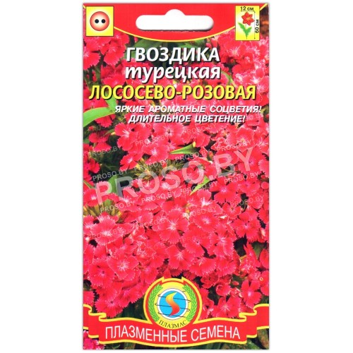 Гвоздика турецкая Лососево-розовая